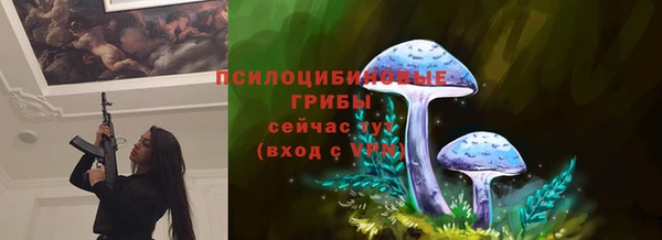 гидропоника Алзамай