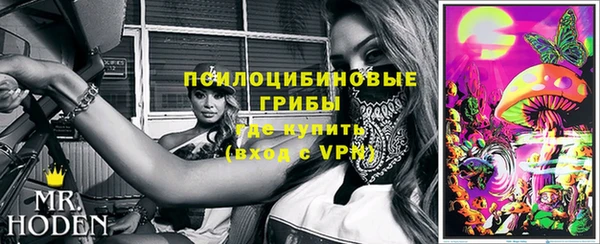 гидропоника Алзамай