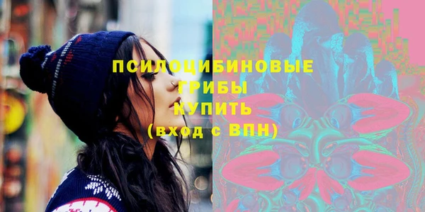 гидропоника Алзамай